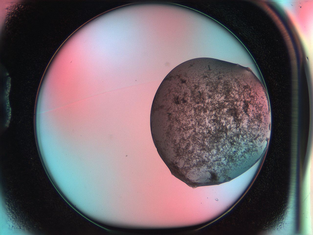 051i_B1_ImagerDefaults_7.jpg