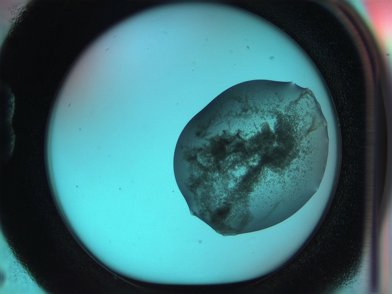 051i_B5_ImagerDefaults_7.jpg
