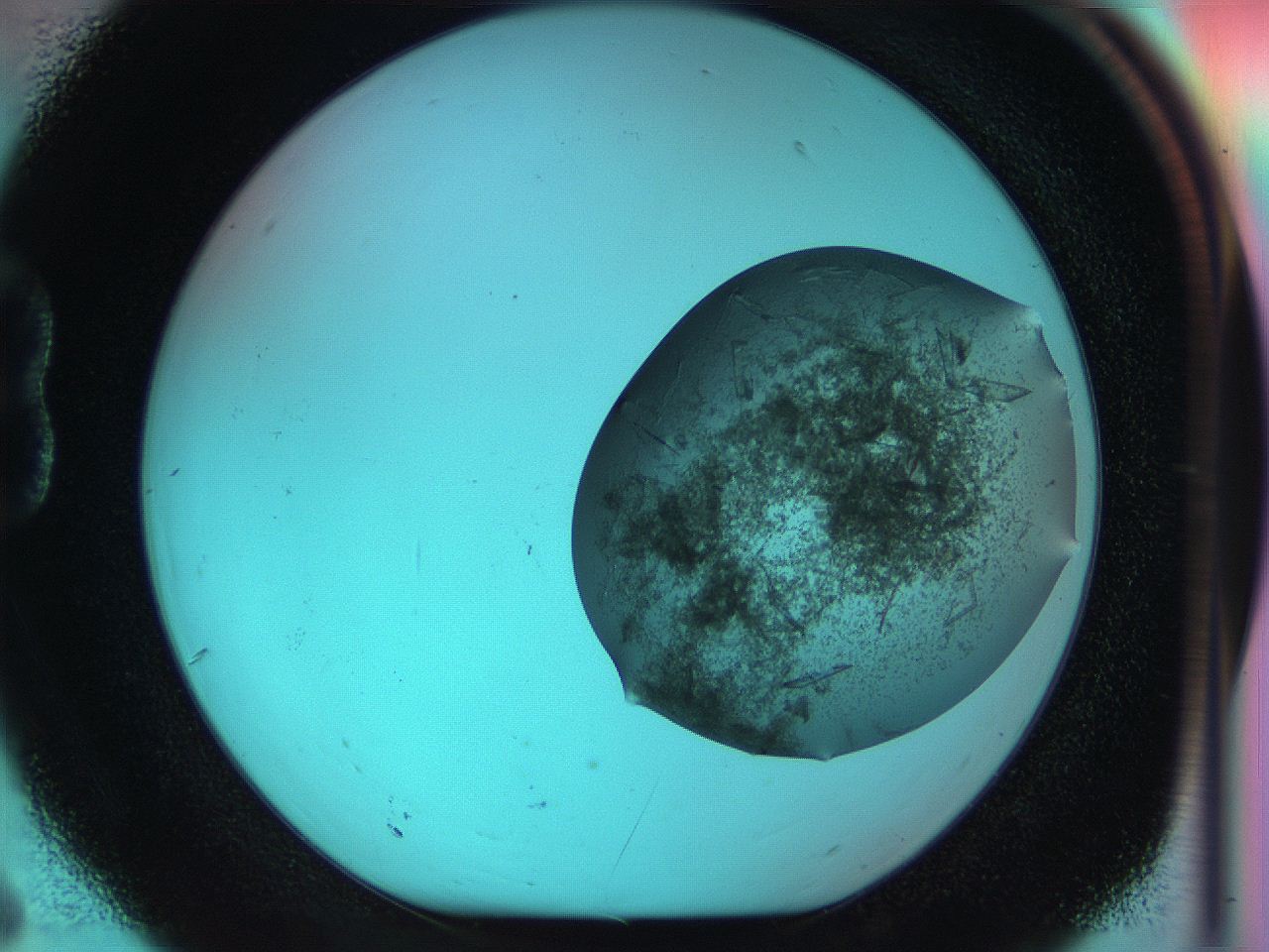 051i_B6_ImagerDefaults_7.jpg