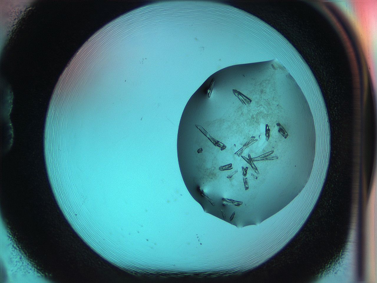 051i_B8_ImagerDefaults_7.jpg
