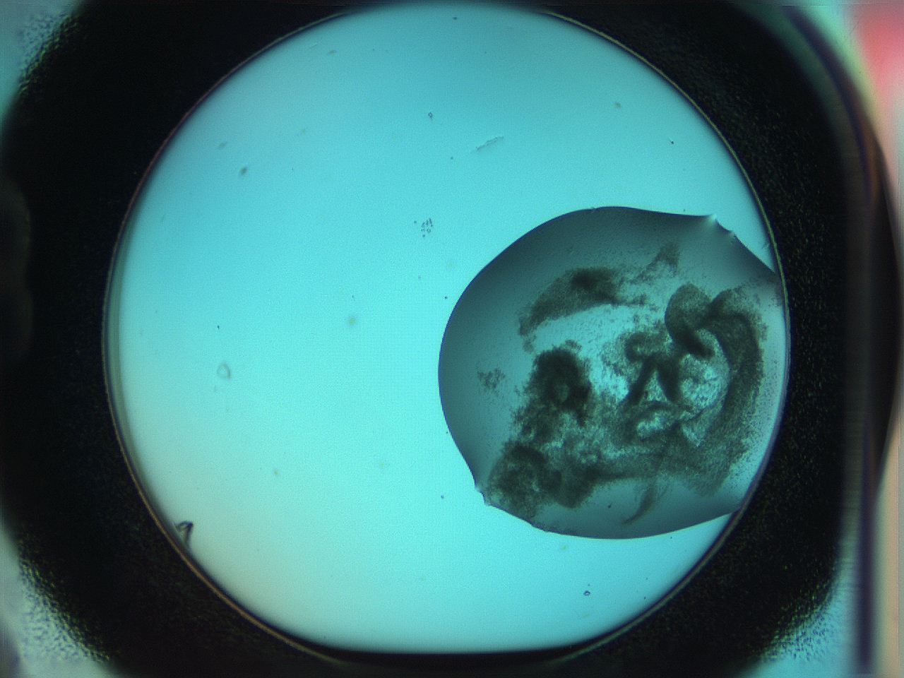 051i_B9_ImagerDefaults_8.jpg