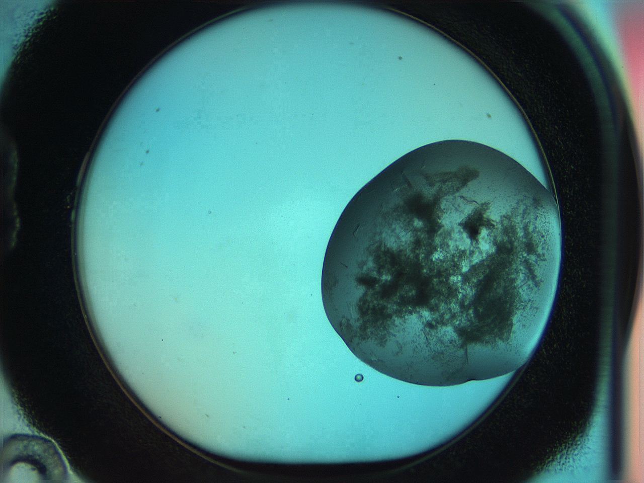 051i_B10_ImagerDefaults_7.jpg