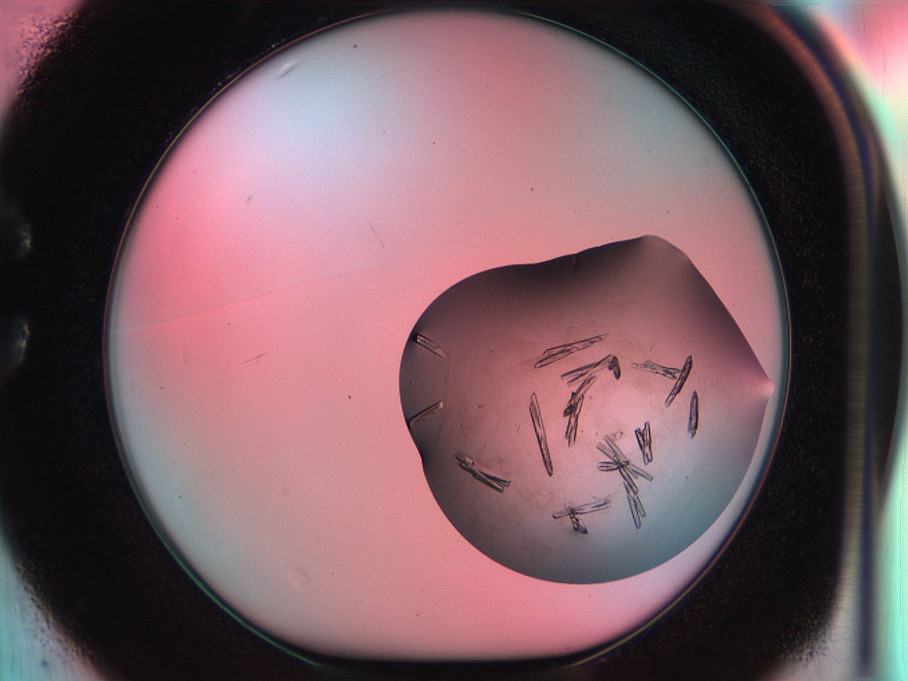 051i_C1_ImagerDefaults_7.jpg