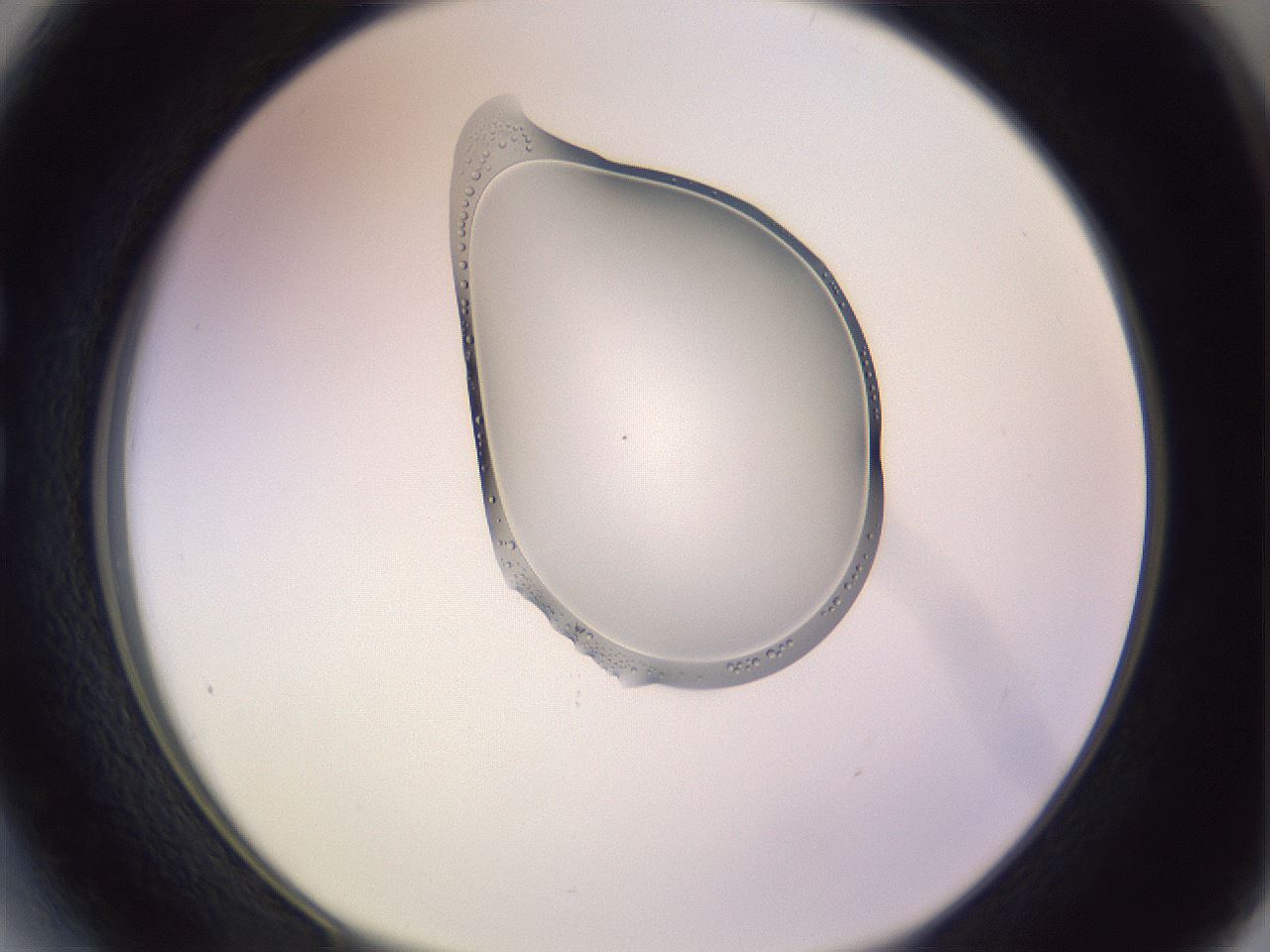 folderID276_plateID1276_batchID3934_wellNum27_profileID1_d1_r73004_ef.jpg
