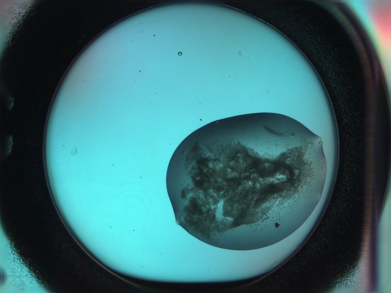 051i_C5_ImagerDefaults_8.jpg