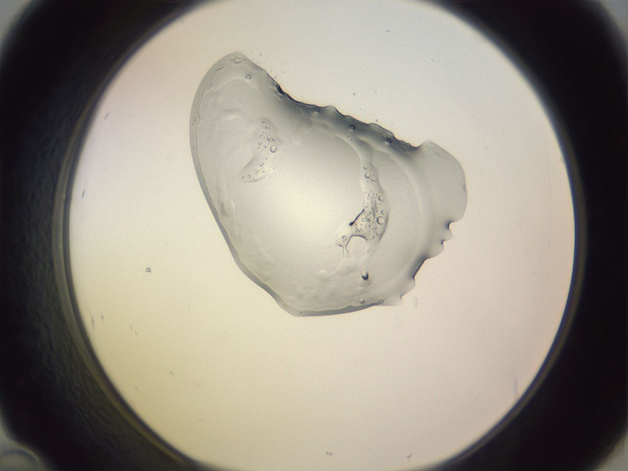 folderID276_plateID1276_batchID4099_wellNum46_profileID1_d1_r73042_ef.jpg