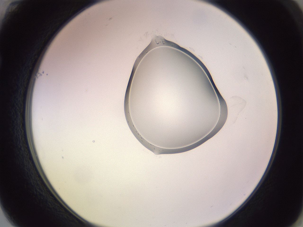 folderID276_plateID1276_batchID4137_wellNum61_profileID1_d1_r73072_ef.jpg