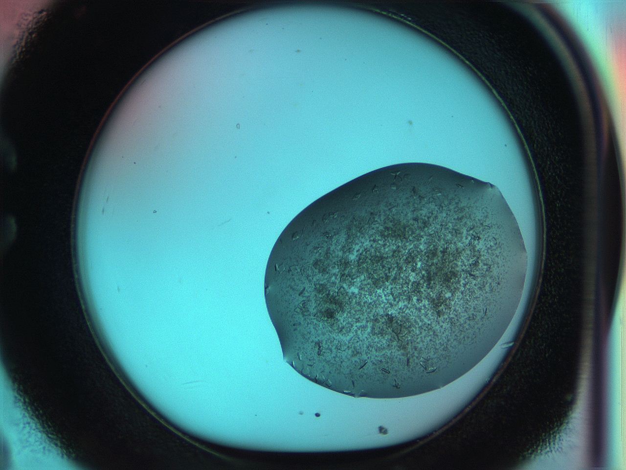 051i_C8_ImagerDefaults_7.jpg