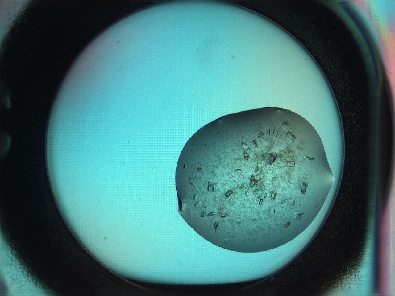 051i_C9_ImagerDefaults_9.jpg