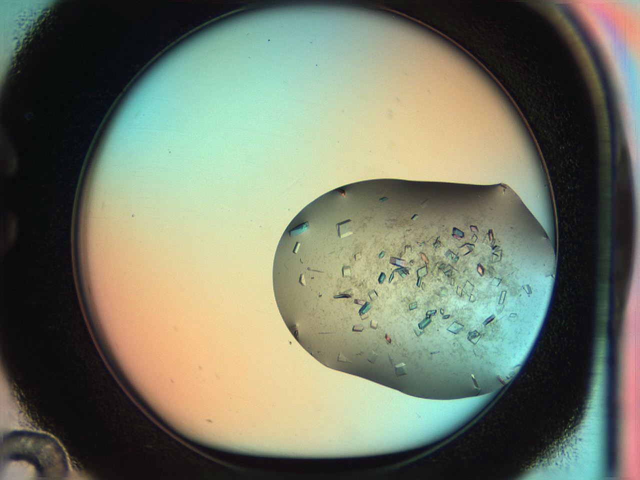 051i_C12_ImagerDefaults_9.jpg