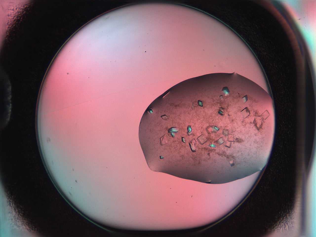 051i_D1_ImagerDefaults_9.jpg