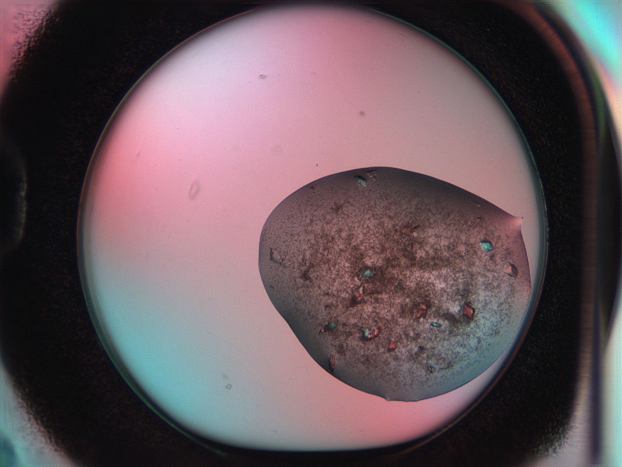 051i_D2_ImagerDefaults_9.jpg