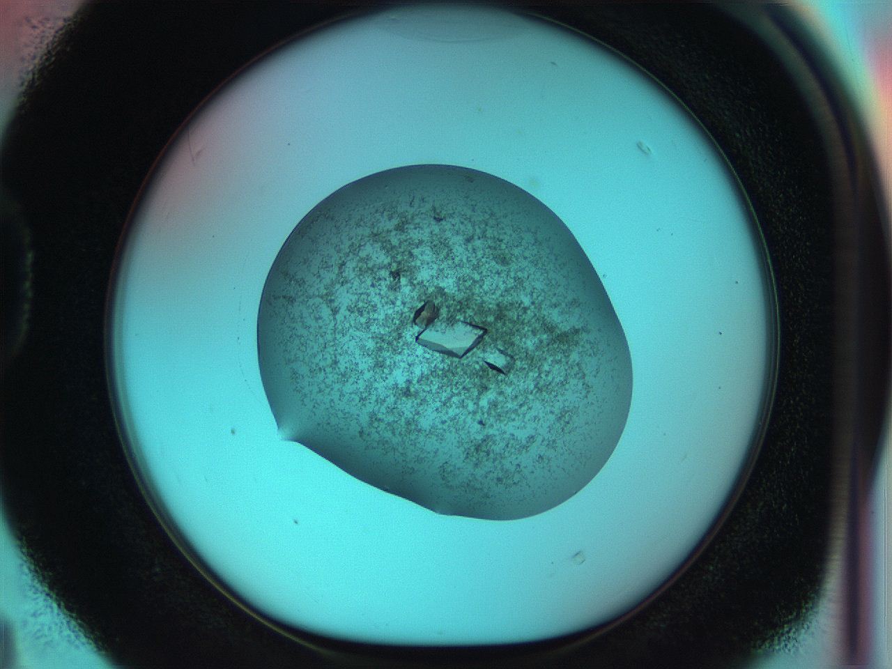 051i_D4_ImagerDefaults_9.jpg