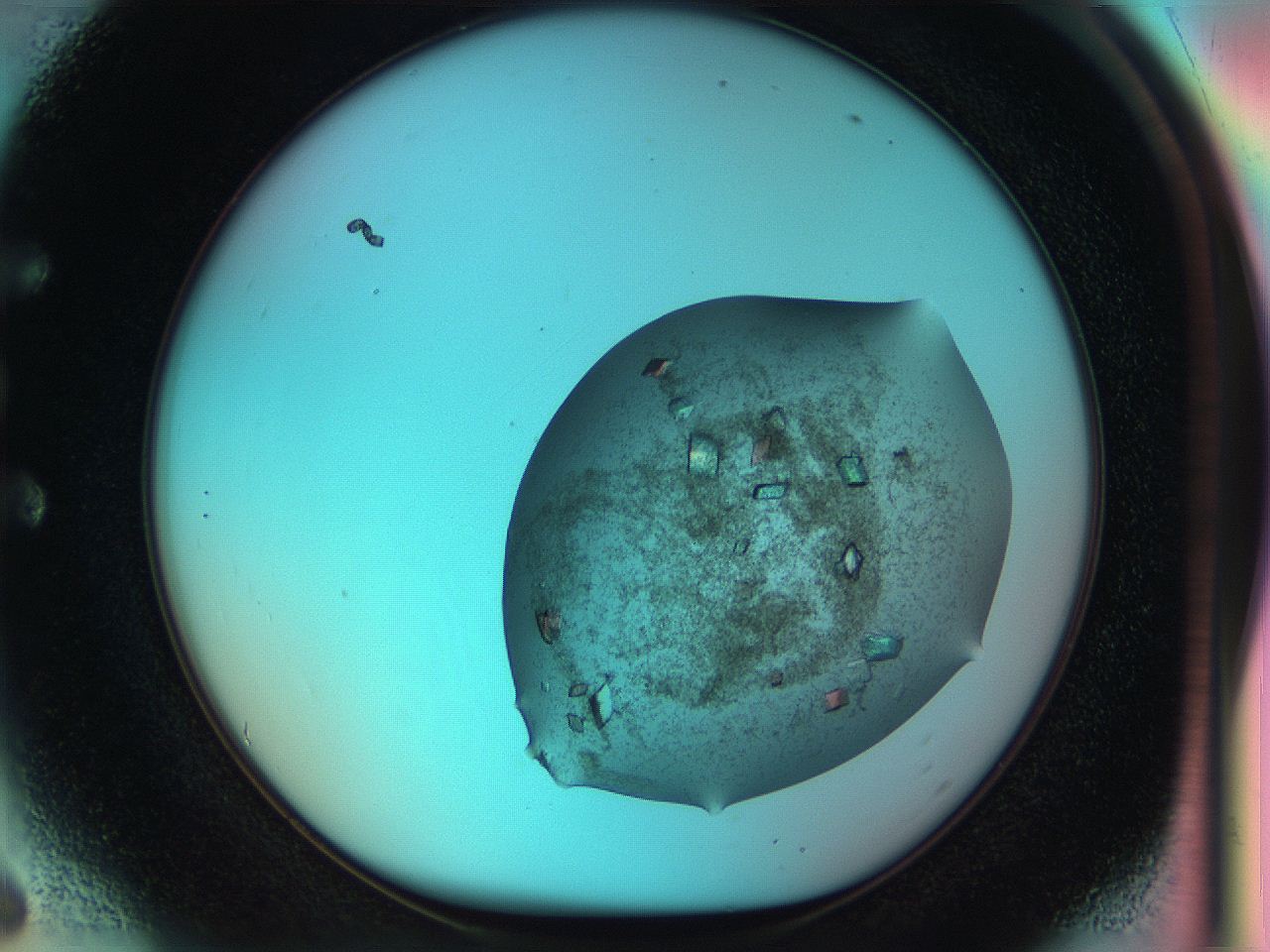 051i_E6_ImagerDefaults_9.jpg
