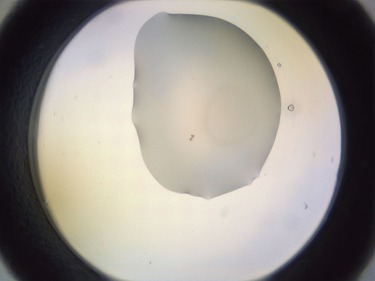 folderID278_plateID1278_batchID3887_wellNum30_profileID1_d2_r74163_ef.jpg