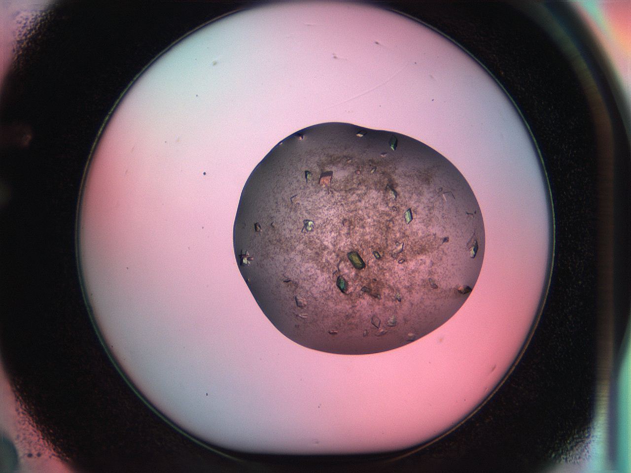 051i_F2_ImagerDefaults_9.jpg