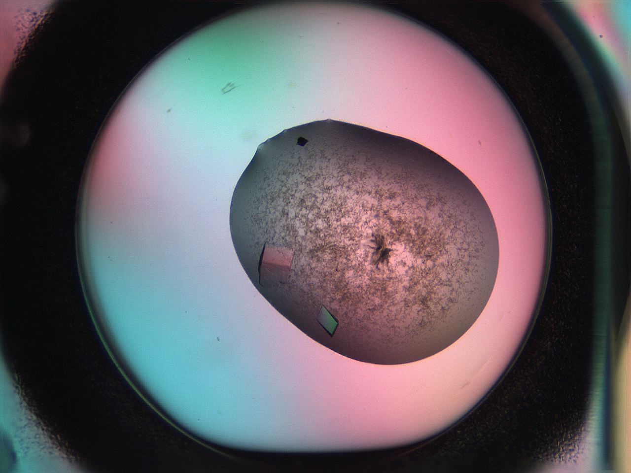 051i_F3_ImagerDefaults_8.jpg