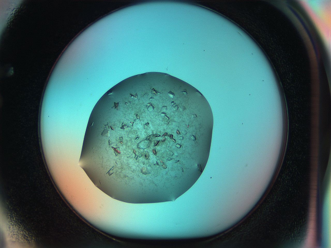 051i_F4_ImagerDefaults_9.jpg