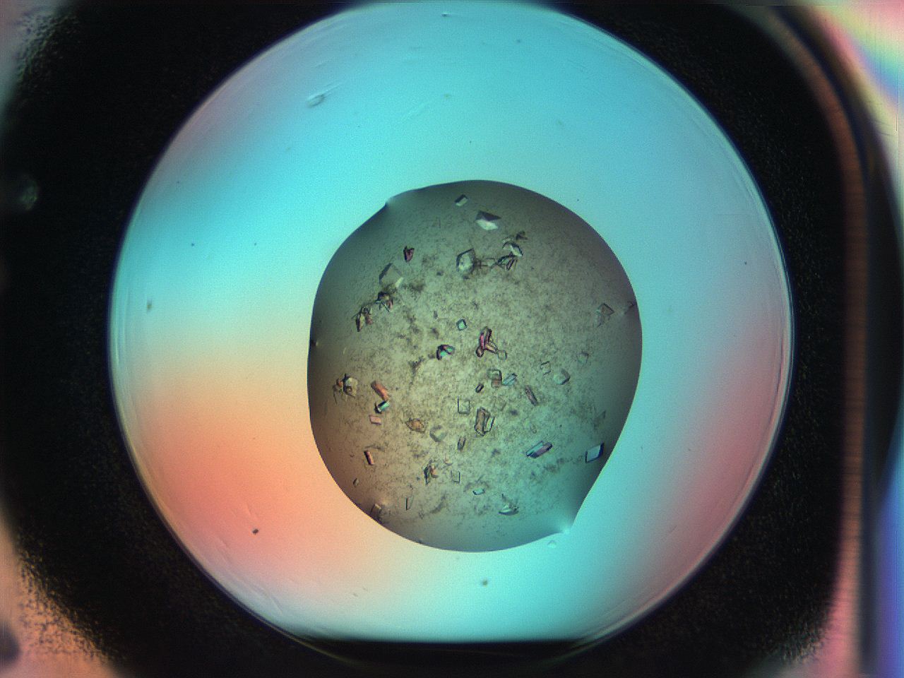 051i_F6_ImagerDefaults_9.jpg