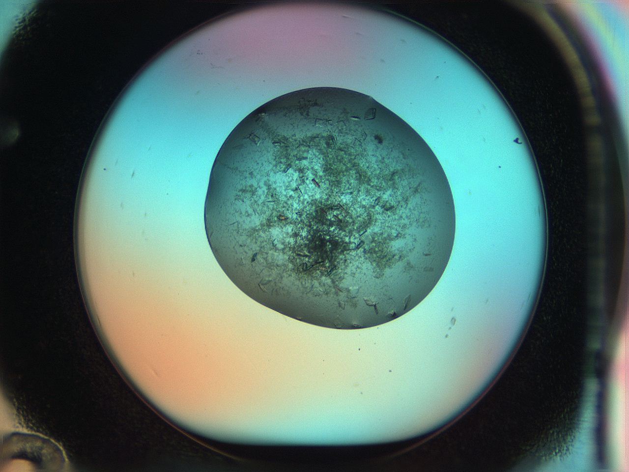 051i_F12_ImagerDefaults_8.jpg