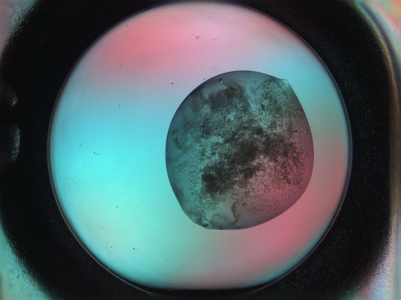 051i_G1_ImagerDefaults_8.jpg