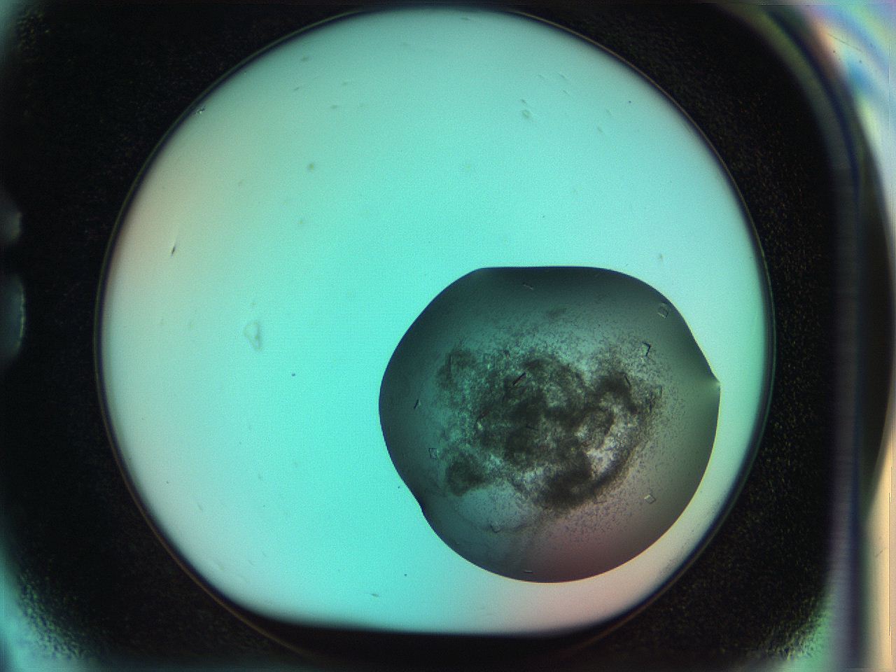 051i_G9_ImagerDefaults_8.jpg