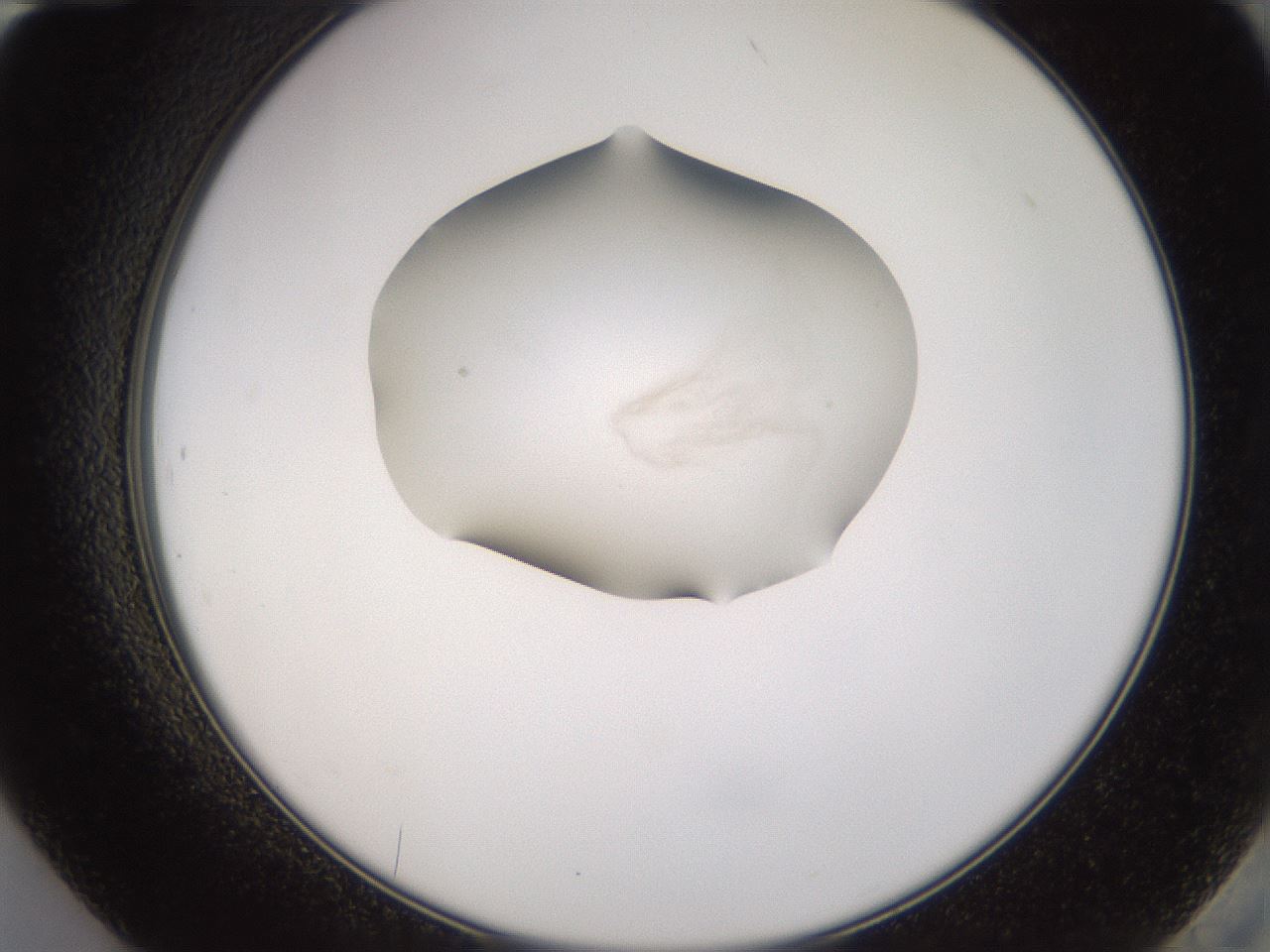 folderID279_plateID3279_batchID18868_wellNum84_profileID1_d2_r289116_ef.jpg