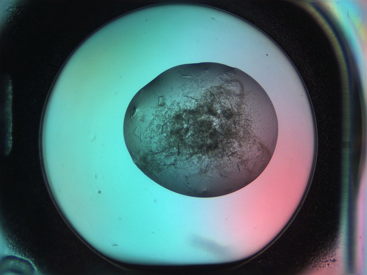 051i_H10_ImagerDefaults_7.jpg