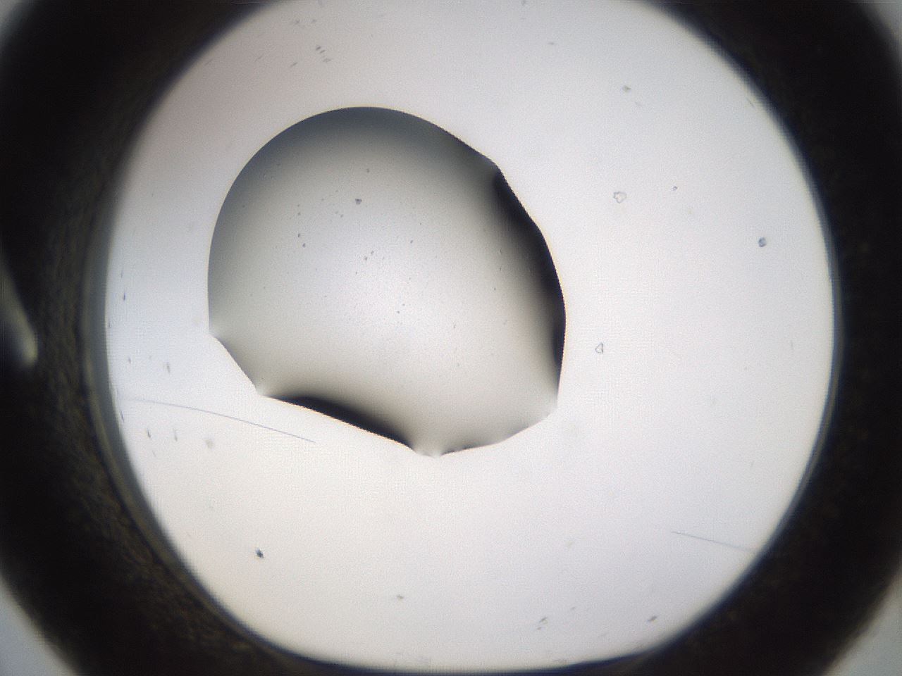 folderID279_plateID3279_batchID18801_wellNum8_profileID1_d1_r288963_ef.jpg