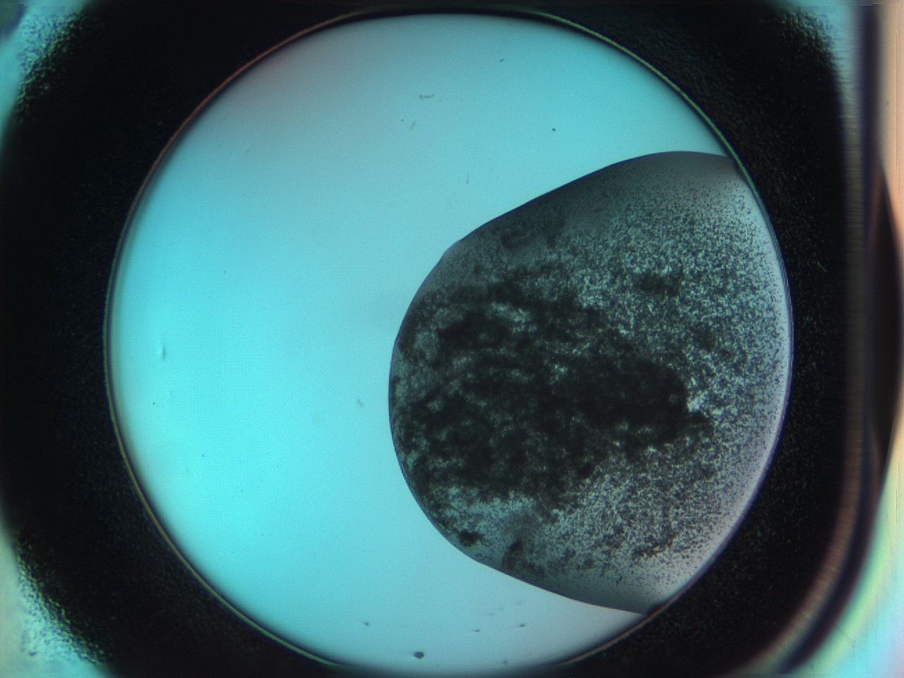051j_B8_ImagerDefaults_7.jpg