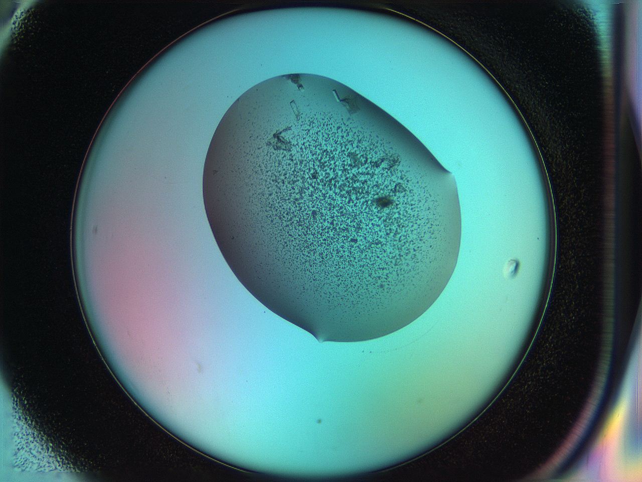 051j_H6_ImagerDefaults_8.jpg