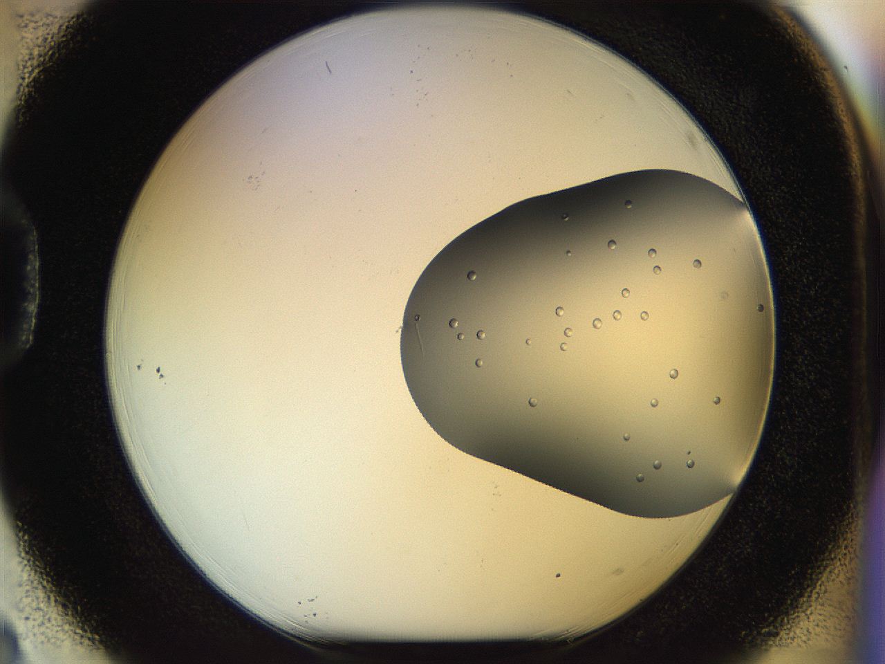 051m_D3_ImagerDefaults_9.jpg