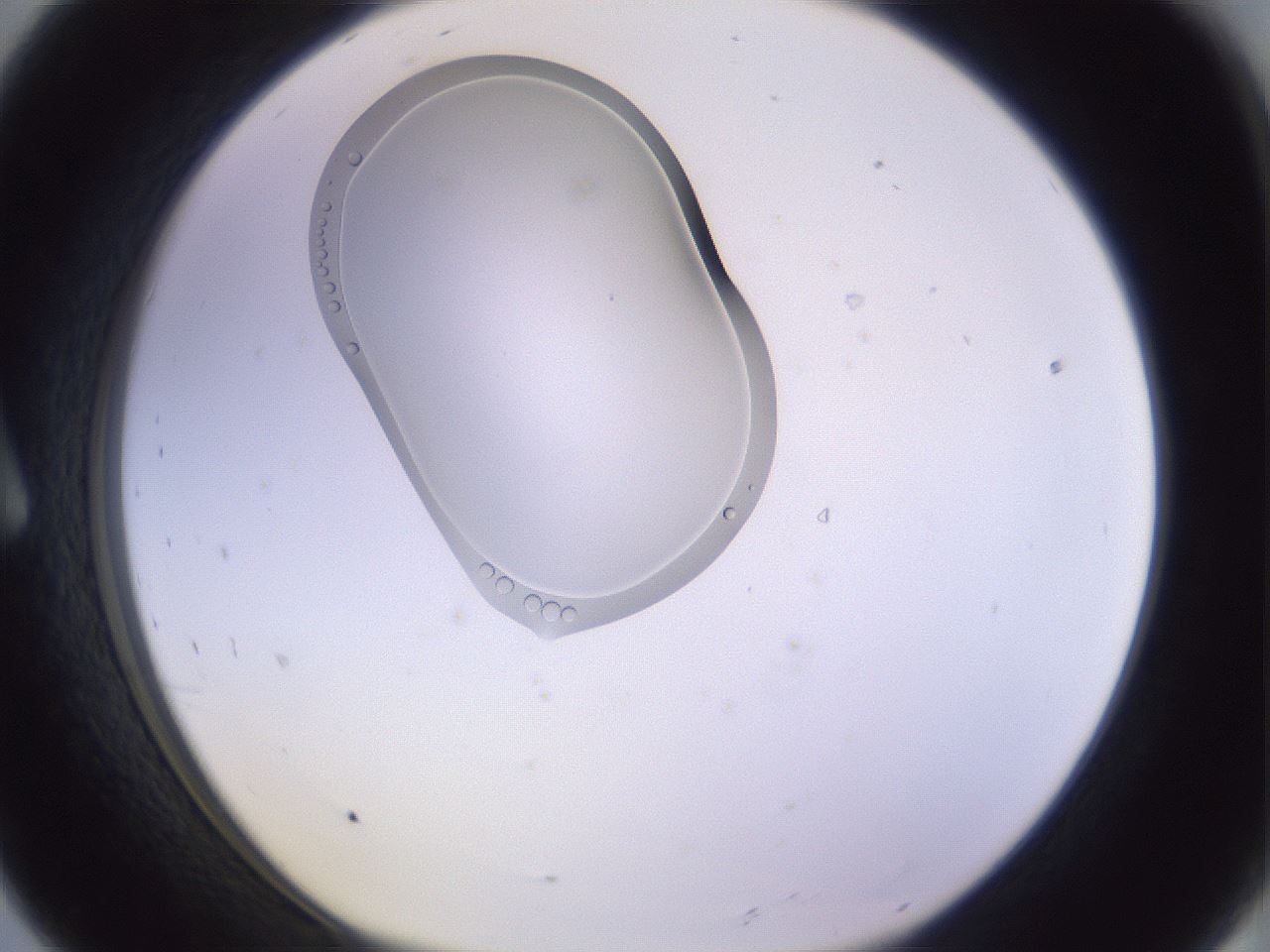 folderID280_plateID1280_batchID3946_wellNum8_profileID1_d1_r75270_ef.jpg