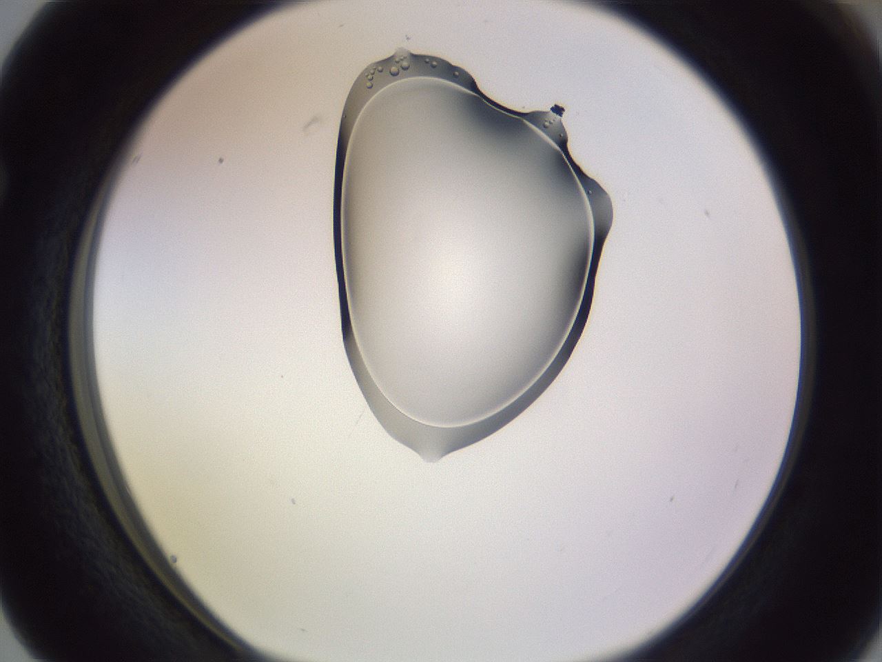 folderID280_plateID1280_batchID4643_wellNum63_profileID1_d1_r75380_ef.jpg