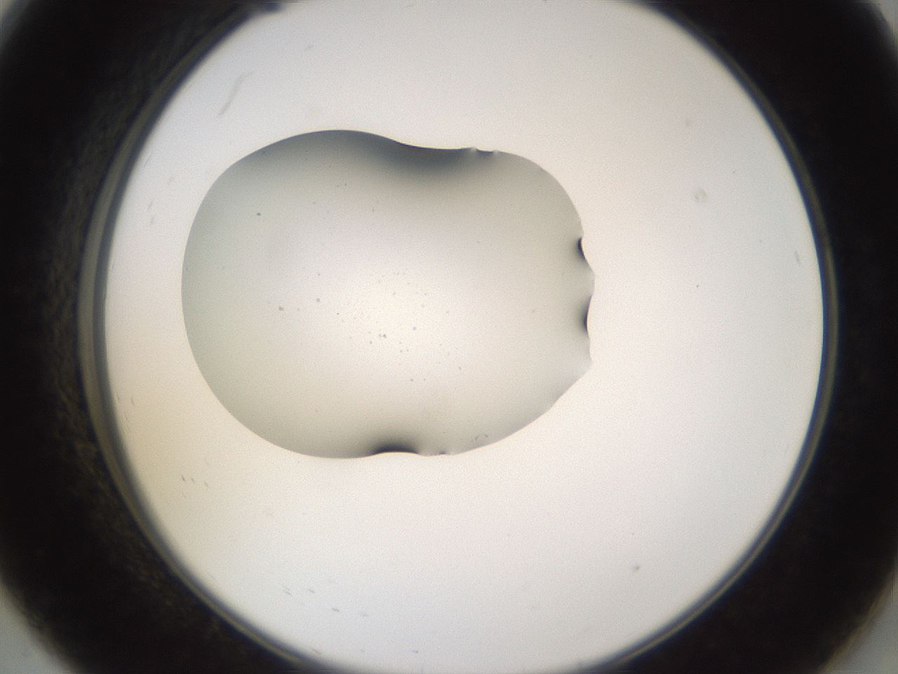 folderID280_plateID3280_batchID18805_wellNum8_profileID1_d2_r289348_ef.jpg