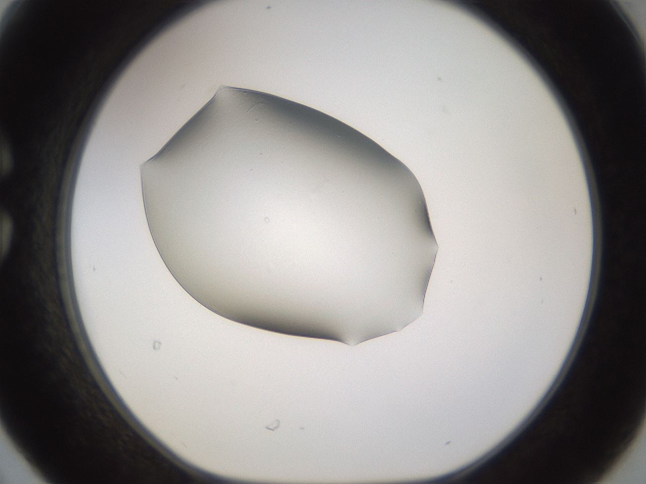 folderID280_plateID3280_batchID18870_wellNum30_profileID1_d1_r289391_ef.jpg