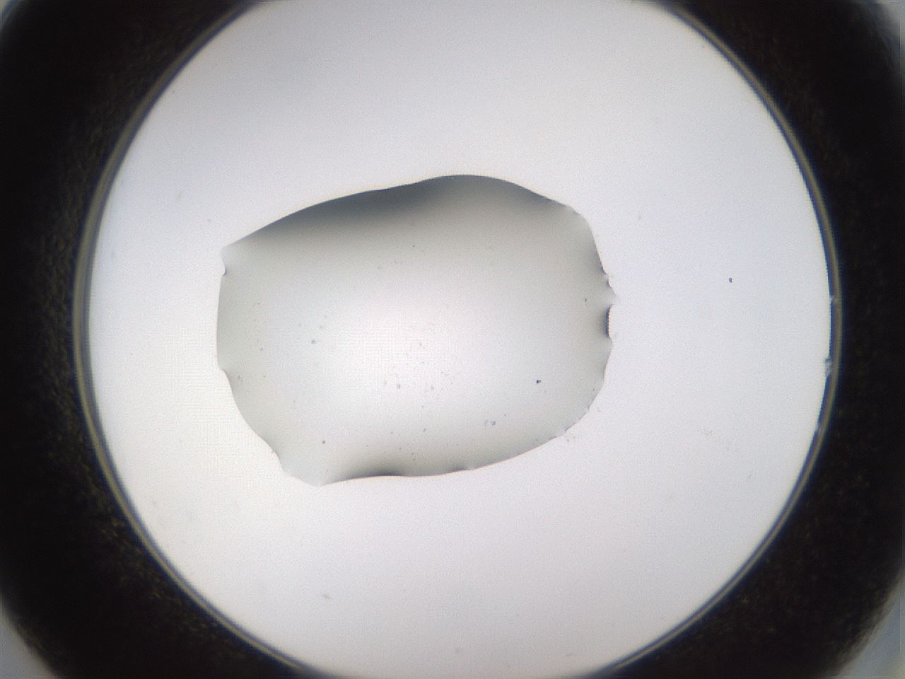 folderID280_plateID3280_batchID19044_wellNum14_profileID1_d2_r289360_ef.jpg