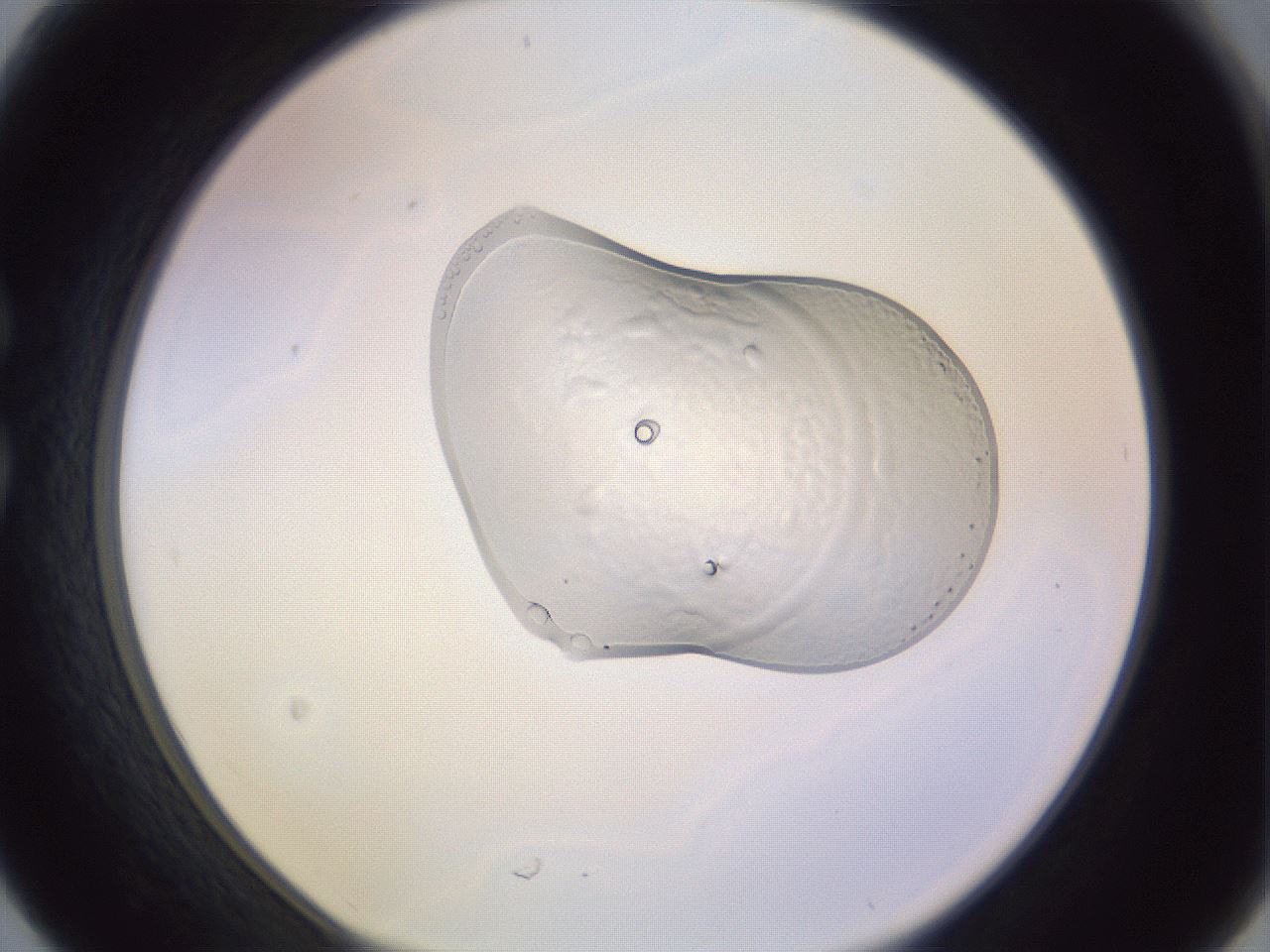 folderID281_plateID1281_batchID4009_wellNum30_profileID1_d1_r75890_ef.jpg