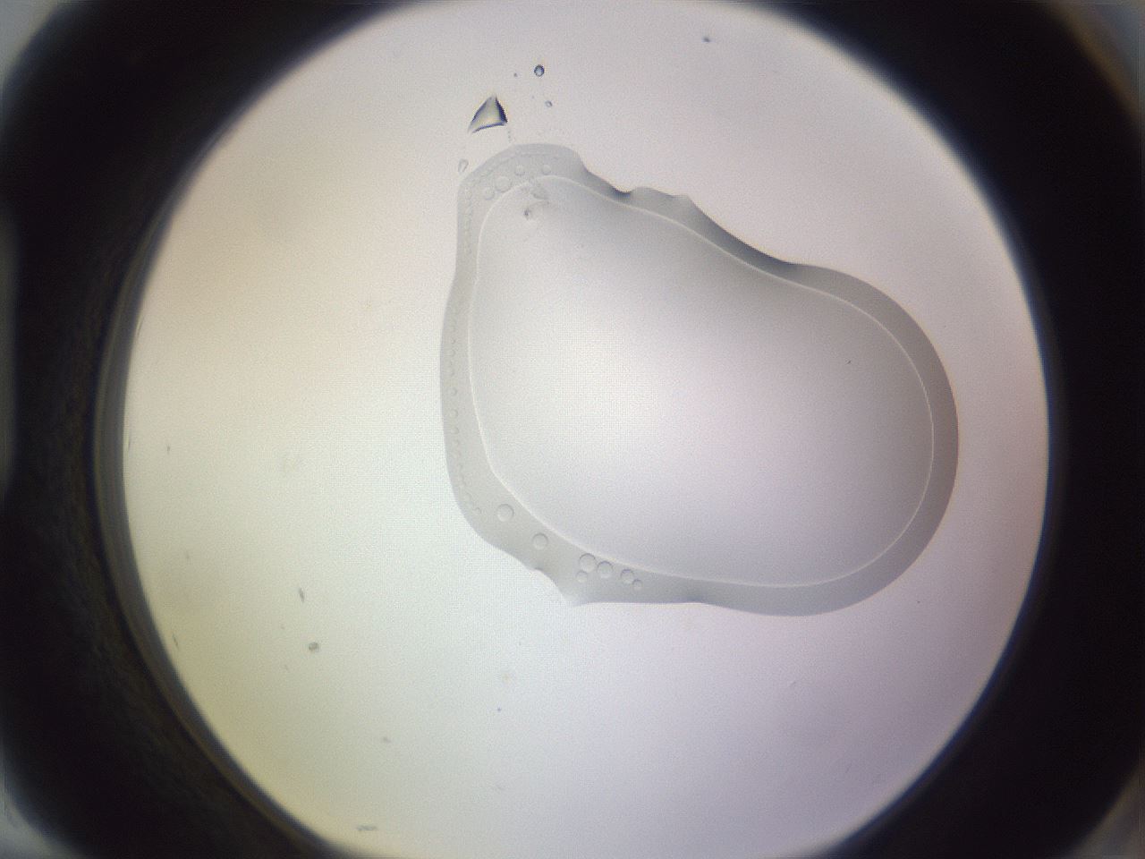 folderID281_plateID1281_batchID4756_wellNum94_profileID1_d1_r76018_ef.jpg