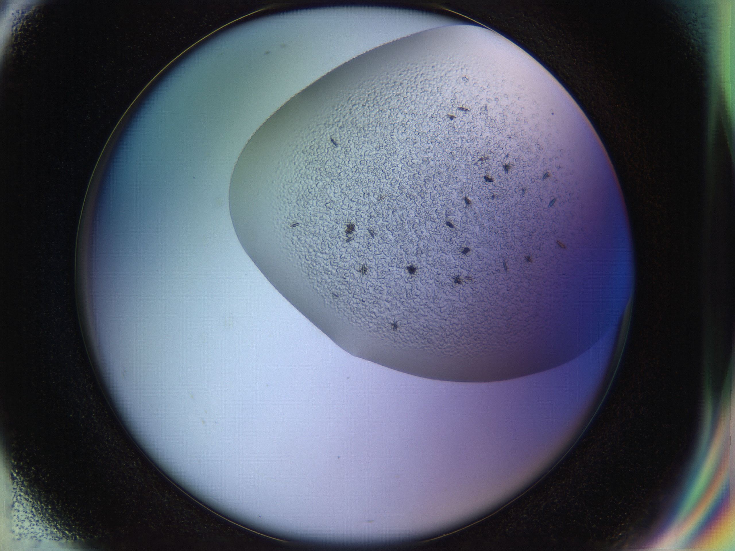 051m_G8_HighResolution_9.jpg