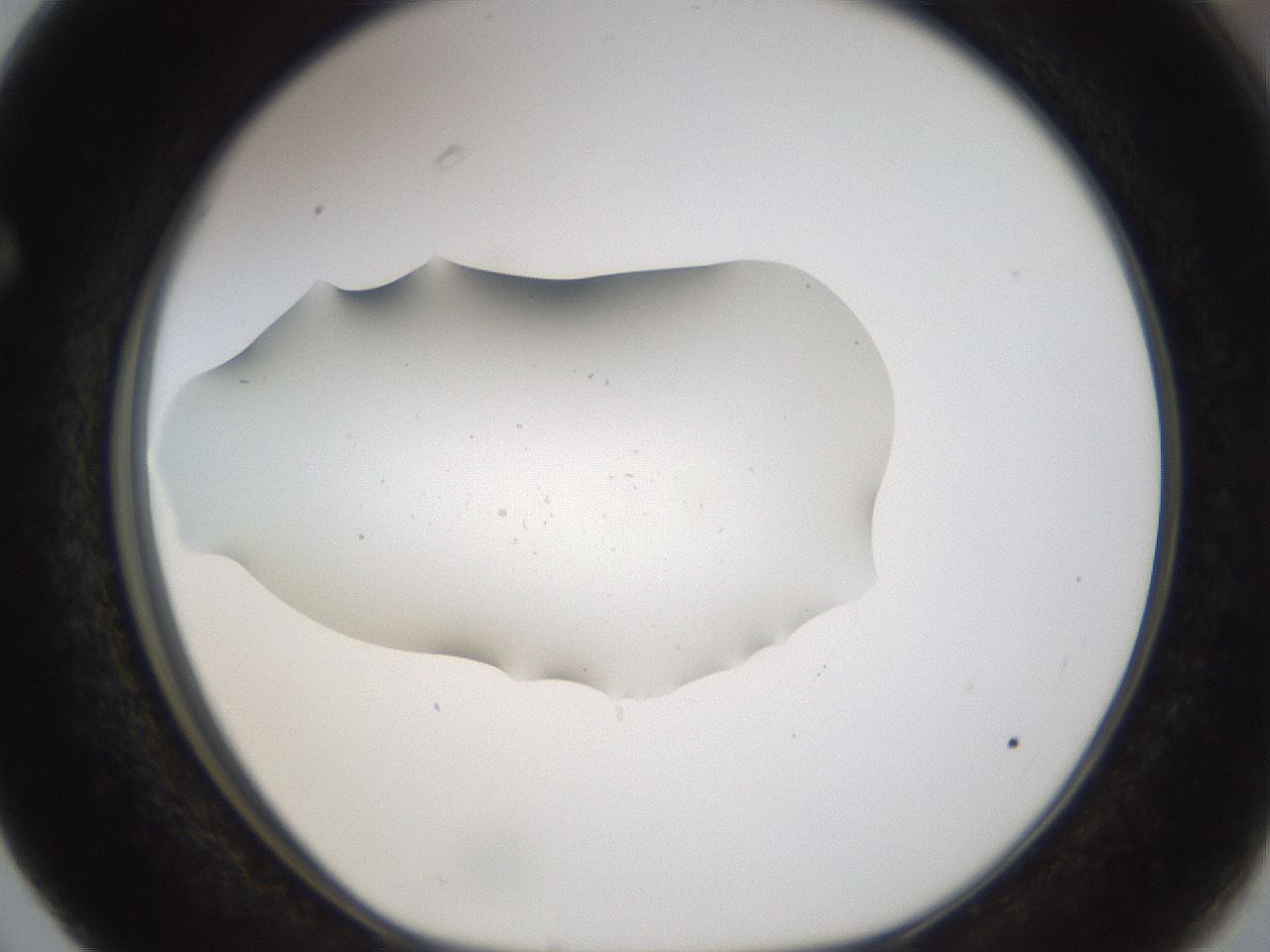 folderID281_plateID3281_batchID19377_wellNum63_profileID1_d1_r289649_ef.jpg