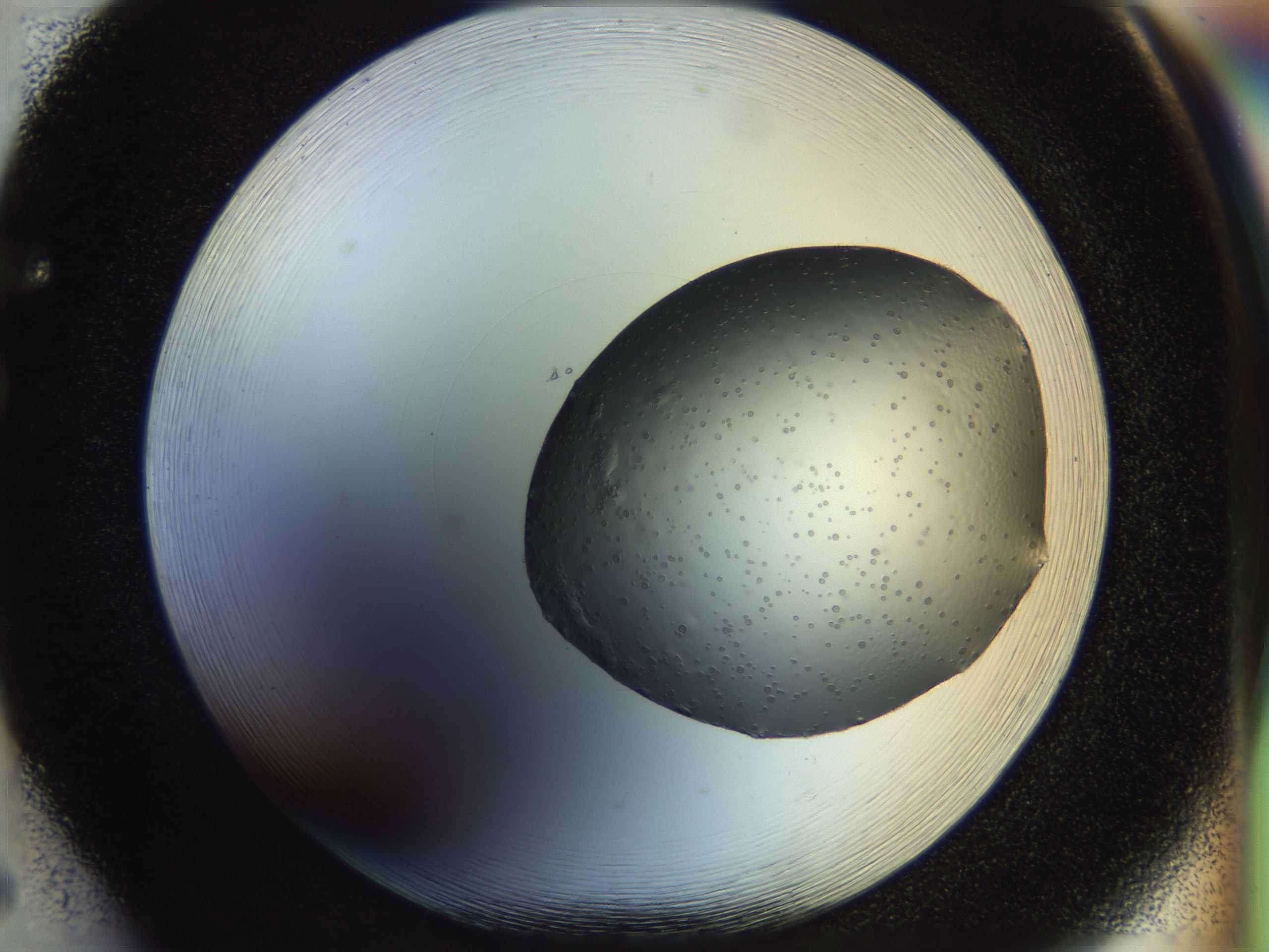 051m_F5_HighResolution_9.jpg
