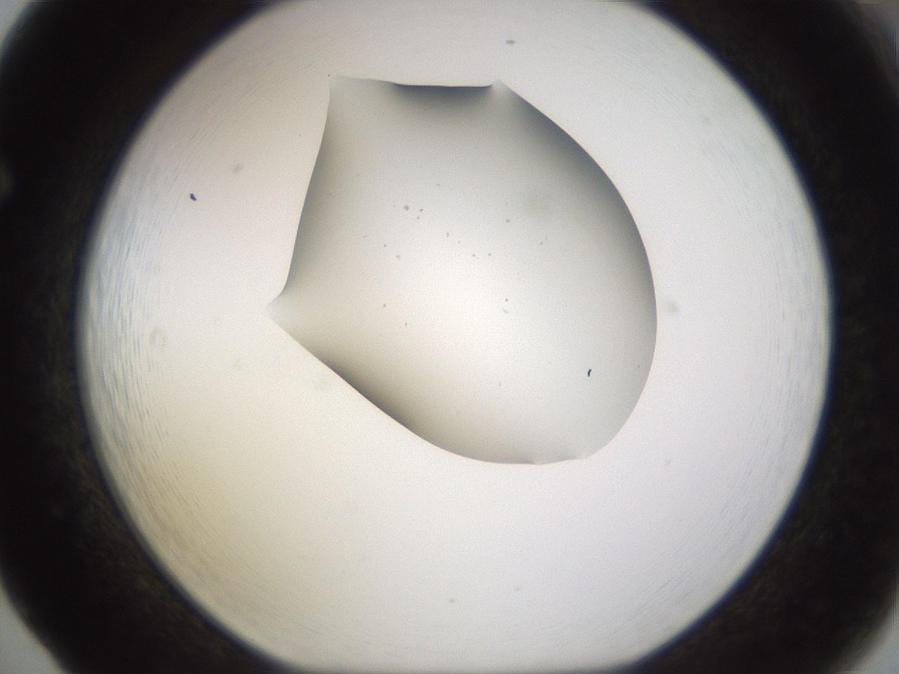 folderID282_plateID3282_batchID18869_wellNum65_profileID1_d1_r289269_ef.jpg