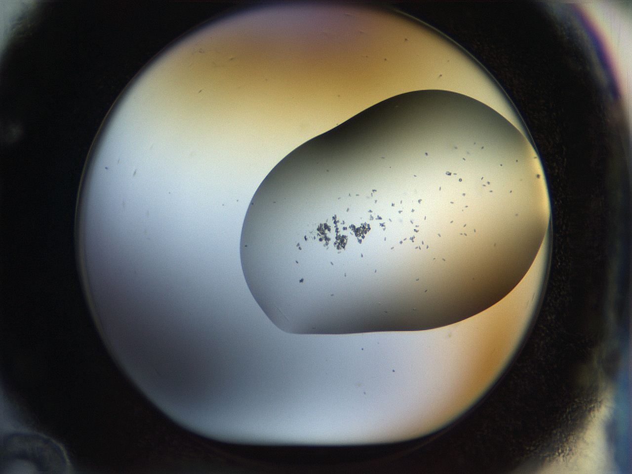 051m_F12_ImagerDefaults_9.jpg