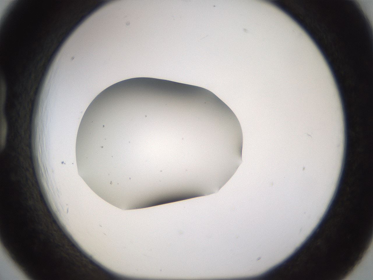 folderID282_plateID3282_batchID19043_wellNum18_profileID1_d1_r289175_ef.jpg