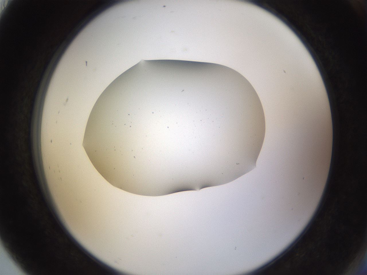 folderID282_plateID3282_batchID19368_wellNum91_profileID1_d2_r289322_ef.jpg