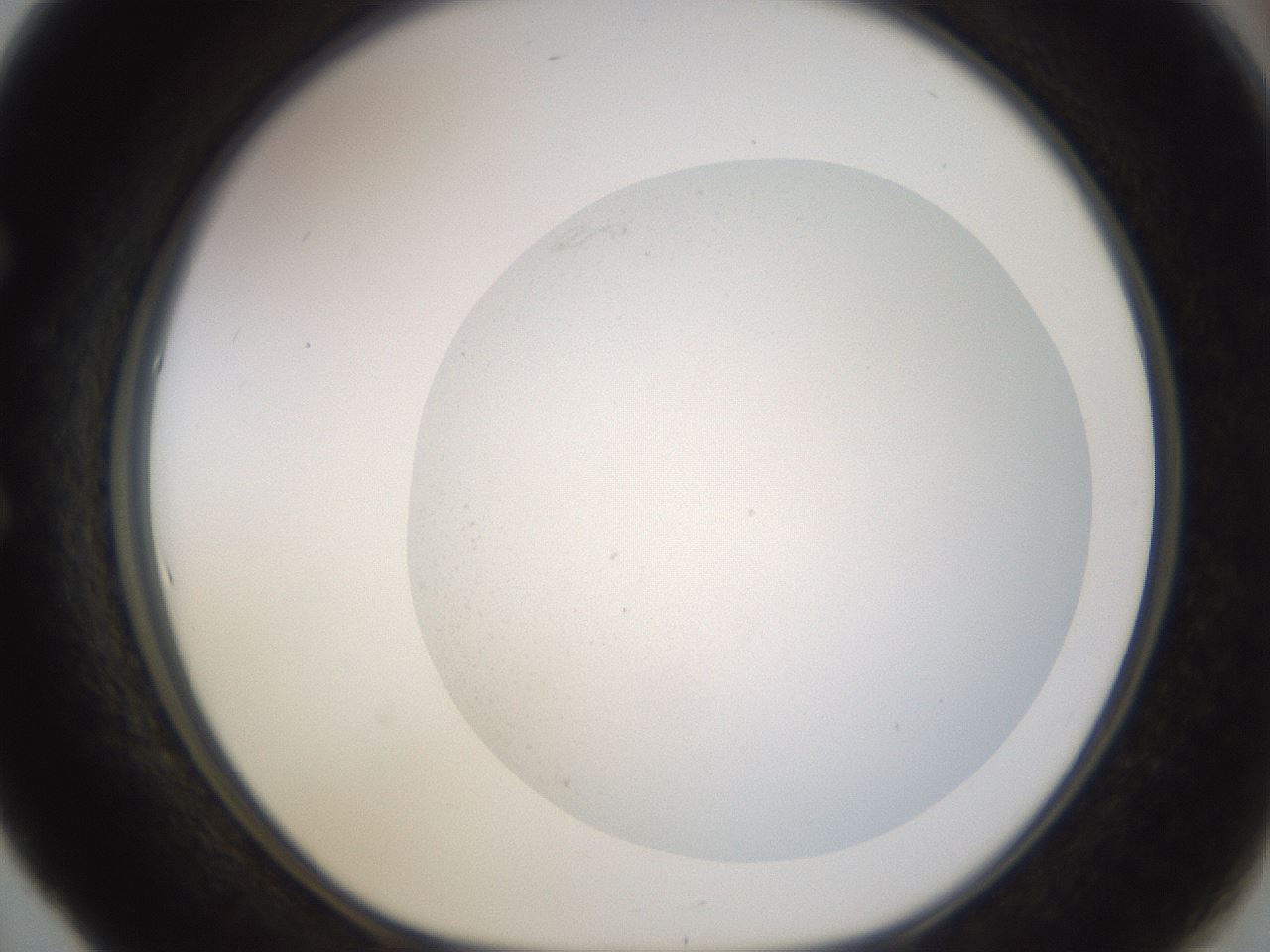 folderID283_plateID3283_batchID18768_wellNum53_profileID1_d1_r288861_ef.jpg