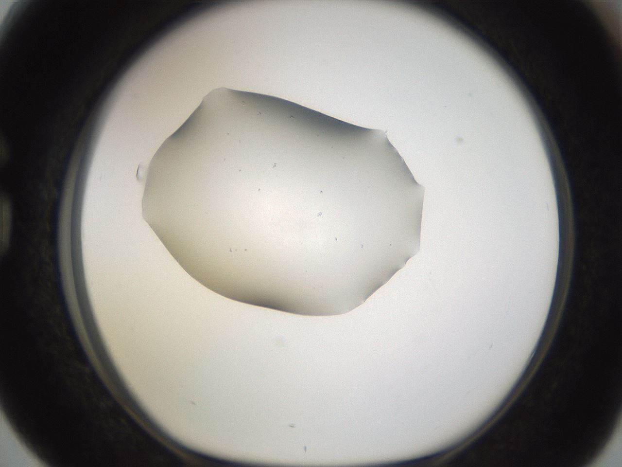 folderID283_plateID3283_batchID18867_wellNum76_profileID1_d1_r288907_ef.jpg
