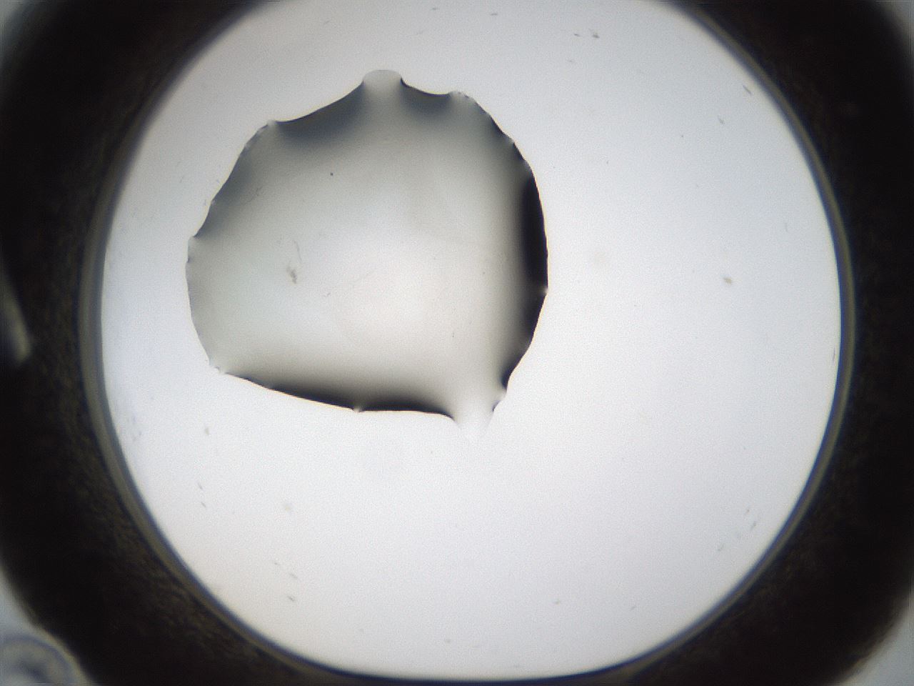 folderID285_plateID1285_batchID3924_wellNum10_profileID1_d1_r77377_ef.jpg