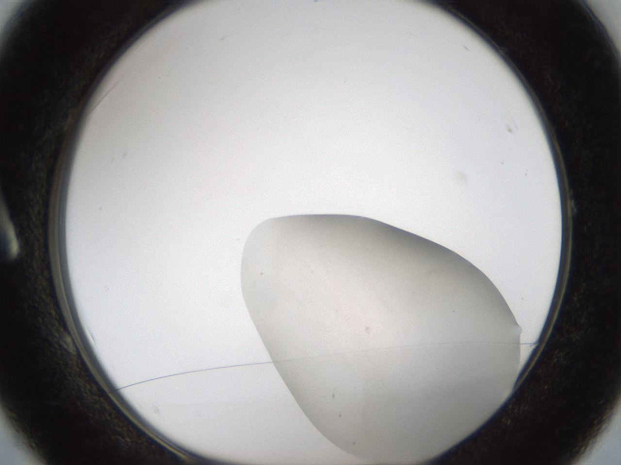 folderID285_plateID1285_batchID4670_wellNum1_profileID1_d1_r77368_ef.jpg